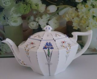Shelley Queen Anne " Blue Iris " Teapot 11561 C1927 A/f