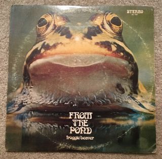 Rare Froggie Beaver From The Pond 1973 Private Press Prog Rock Lp Vg,  Vinyl