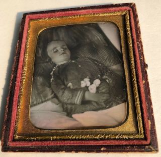 Post Mortem Dead Little Girl Holding Poppy Flowers 1850s Daguerreotype Photo