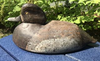 Vintage St Clair Flats Hen Bluebill Duck Decoy Hollow Carved Mostly Op Low Head