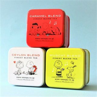 Snoopy Tea Project Snootea 2 Can Set Ceylon Muscat Caramel 10 Tea Bags Japan
