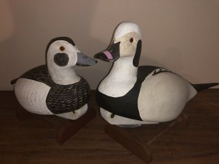 Charles Fish Carved Wood Old Squaw Duck Decoy Pair Drake & Hen Signed 17”