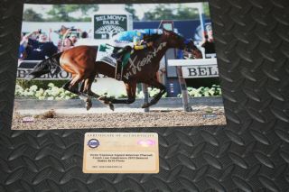 Victor Espinoza Signed Autographed 8x10 Photo Triple Crown Belmont Steiner