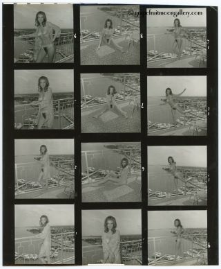 Bunny Yeager Pin - Up Contact Sheet Photograph Nude Model Cary Hayden Biscayne Bay