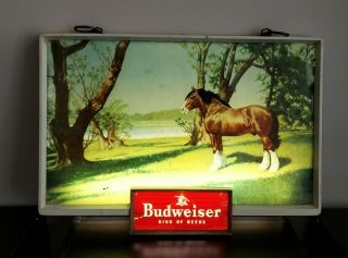 Rare Vintage Budweiser Beer Lighted Sign Clydesdale Horse 1950 1960’s
