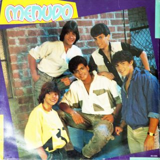 Menudo Hold Me Vinyl Lp 1985 Rca Roy Raymond Ricky Martin Robby Rosa Charlie