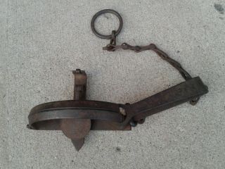 Vintage Newhouse 3 1/2 Trap