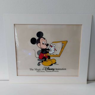 Vintage 1989 Magic Of Disney Animation Mickey Mouse At The Drawing Board Cel