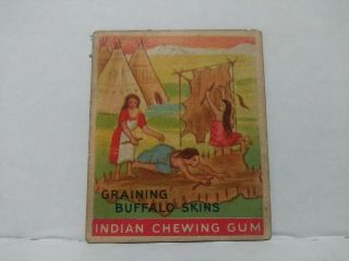 Rare Antique " Graining The Buffalo " Goudey Indian Chewing Gum Trading Card 98