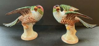 Vtg Pair (2) Mottahedeh Williamsburg Parakeets Parrots Birds Figurines Perfect