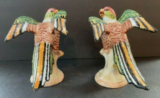 VTG PAIR (2) MOTTAHEDEH Williamsburg Parakeets Parrots Birds Figurines PERFECT 2