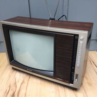 Vintage 19” Sony Trinitron Woodgrain Color Tv Kv - 1915 Gaming 1982