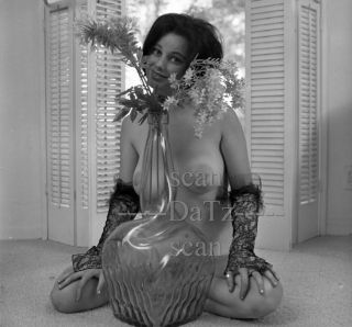 1960s Negative - Busty Nude Brunette Pinup Girl Tonya Carina - Cheesecake T979805