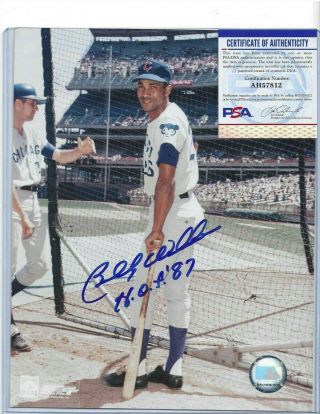 Billy Williams Autographed Chicago Cubs Baseball Hofer 8x10 Color Photo Psa