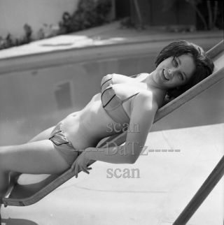 1960s Negative - Busty Pinup Girl Tonya Carina In Sexy Bikini - Cheesecake T979774