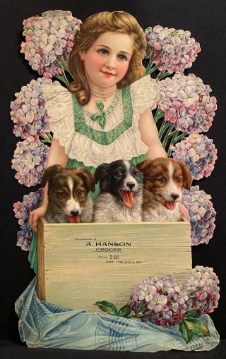 A.  Hanson Grocer - Big Die Cut - Little Girl With A Crate Of Puppies - Flowers