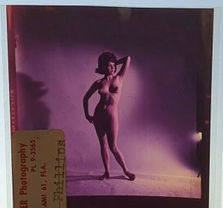 Bunny Yeager Estate 1960s Color Transparency Wendy Phillips Nude Model 386