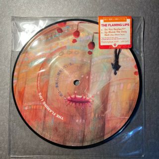 Do You Realize?? - The Flaming Lips | Vinyl Record; 7 " Picture Disc; Signed