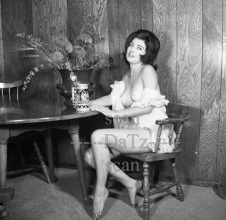 1960s Negative - Busty Nude Brunette Pinup Girl Marti Lange - Cheesecake T980823