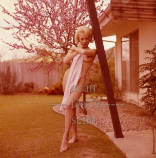 1960s Transparency - Nude Blonde Pinup Girl Bonnie Riddle - Cheesecake T981679