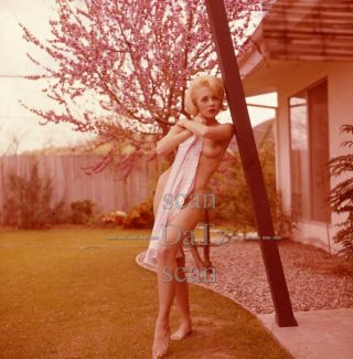 1960s Transparency - Nude Blonde Pinup Girl Bonnie Riddle - Cheesecake T981677