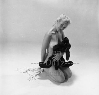 Vintage 1950s Negative - Nude Blonde Pinup Girl Doris Sanders - Cheesecake T979124