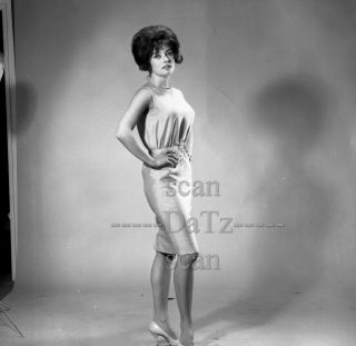 Vintage 1960s Negative - Sexy Brunette Pinup Girl Marti Lange - Cheesecake T980841