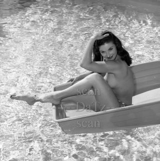 1960s Negative - Nude Brunette Pinup Girl Nancy Lewis - Cheesecake T978981