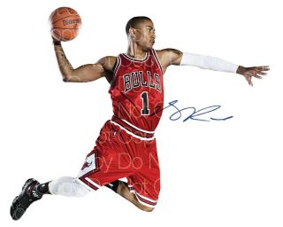 Derrick Rose Chicago Bulls Signed 8x10 Inch Photo Picture Poster Autograph Rp
