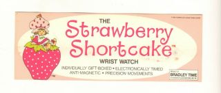 Strawberry Shortcake Bradley Store Display Head Card 1980