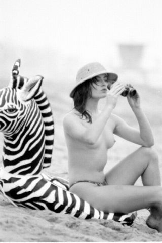 Vintage Pinup Negative 1960s Sexy Brunette Beach Pose (nudes)