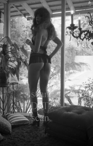 Vintage 1960s Negative - Sexy Brunette Pinup Girl Lizzy Koske - Cheesecake T971183
