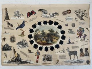 Large Antique Regency Scrapbook Page,  Butterfly Feather Bird Boat,  19th Cent.