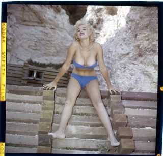 June Wilkinson Playboy Playmate Busty 1950 