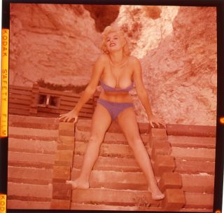 June Wilkinson Playboy Playmate BUSTY 1950 ' s Pinup 2.  25 