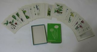 1970 National Audubon Society,  Audubon Aids 50 Wildflower Cards & Box