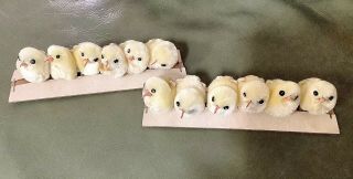 12 Tiny Vintage Chenille Chicks 60s Pompom Nos