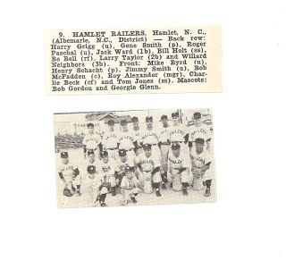 Hamlet Railers North Carolina 1950 Baseball Team Picture