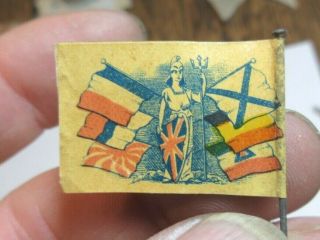 Rare Fundraising Flag Day Pin Late 1910 