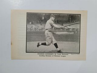 Rogers Hornsby 1924 Reach Nl Batting Leader Picture