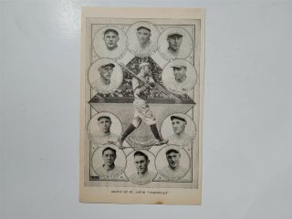 Cardinals 1924 Team Picture Tommy Thevenow Jim Bottomley Taylor Douthit
