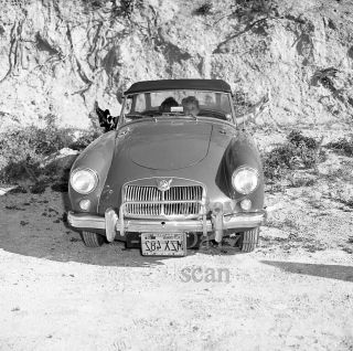 1950s Negative - Busty Blonde Pinup Girl Joan Brennan In Mg Car - Cheesecake T284186