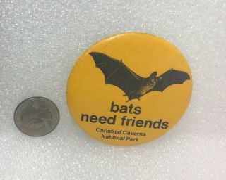 Bats Need Friends Carlsbad Caverns National Park Mexico Pin