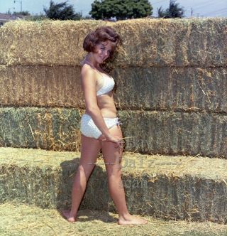 1960s Color Negative - Sexy Pinup Girl In Bikini By Hay - Cheesecake T940670