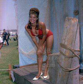 1960s Color Negative - Sexy Pinup Girl In Red Bikini - Cheesecake T940642