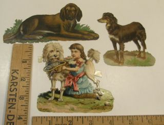 3 Antique Victorian Die Cut Embossed Scraps Bloodhound Poodle & Border Collie