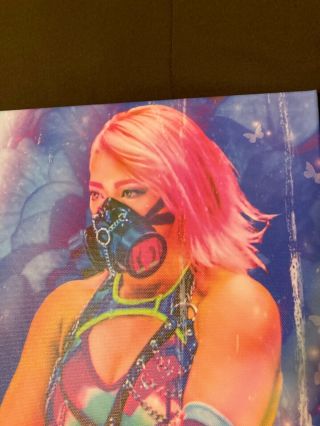 Hana Kimura Stardom Wrestling Canvas Art 16”x 24” Rare Artwork 2