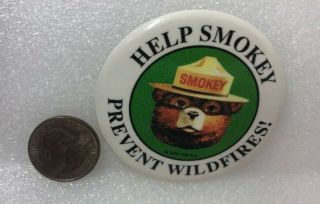 Smokey Bear - Help Smokey Prevent Wildfires Pin