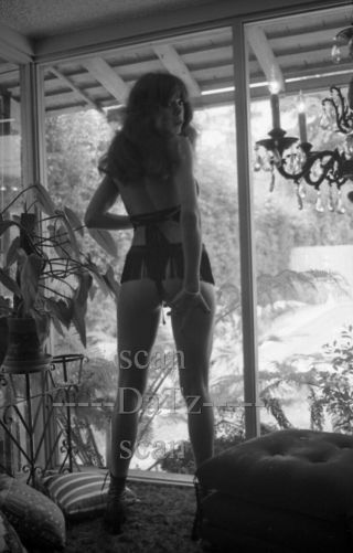 Vintage 1960s Negative - Sexy Brunette Pinup Girl Lizzy Koske - Cheesecake T971182
