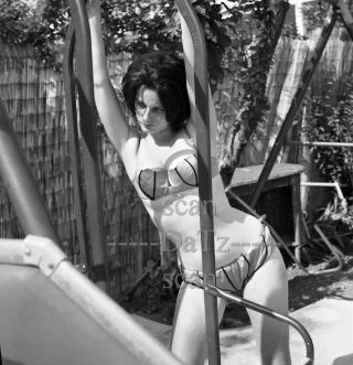 1960s Negative - Busty Pinup Girl Tonya Carina In Sexy Bikini - Cheesecake T979779